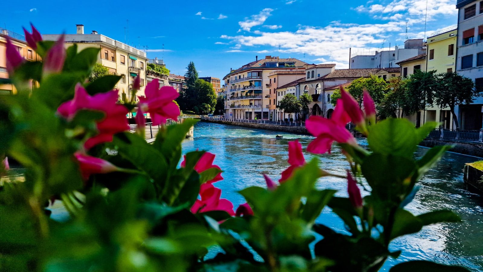 Dónde alojarse en Treviso: Las mejores zonas y hoteles